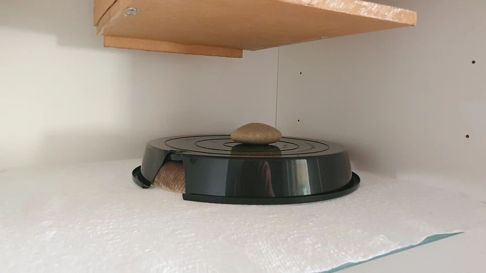 Shesha hibernating in a small plastic hide. Only part of her body can be seen through the doorway into the hide.